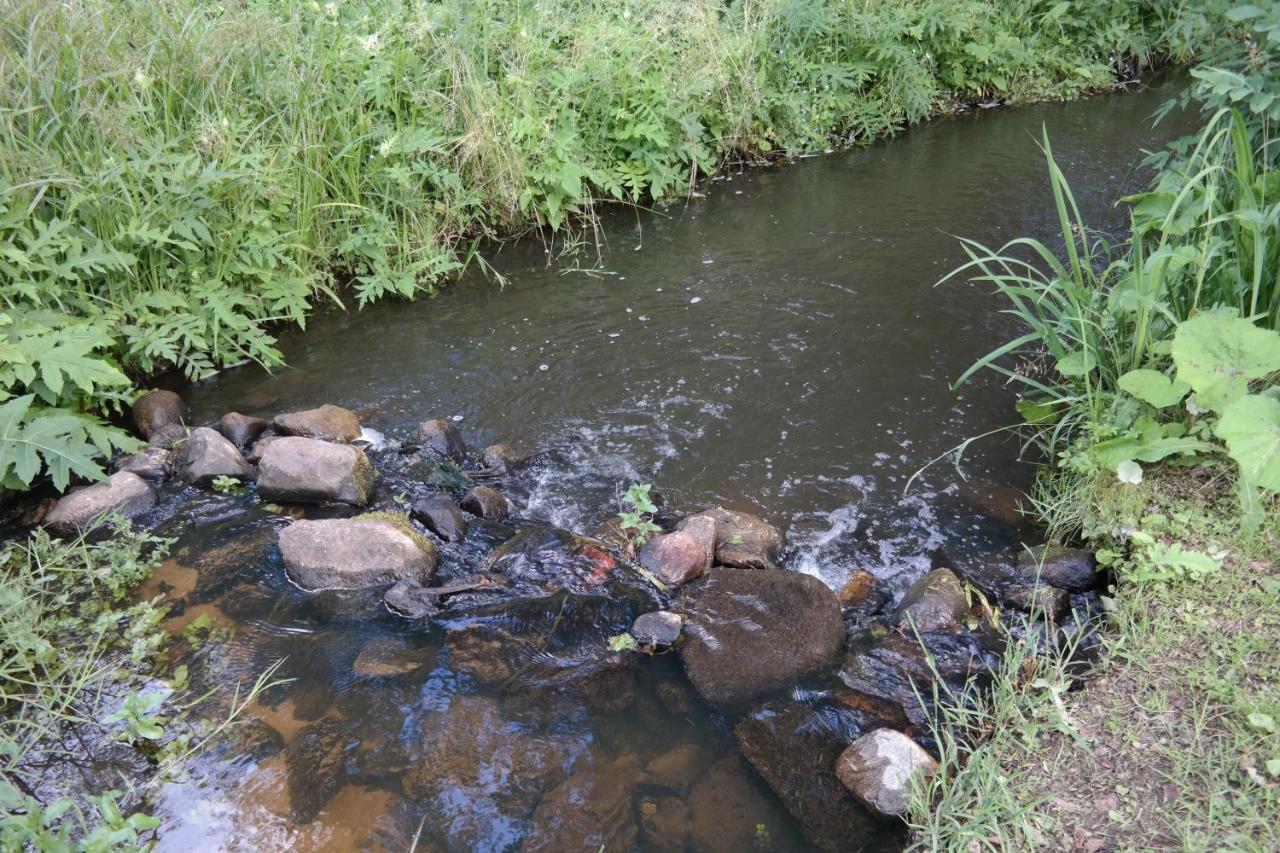 Latava Villa Anyksciai Luaran gambar